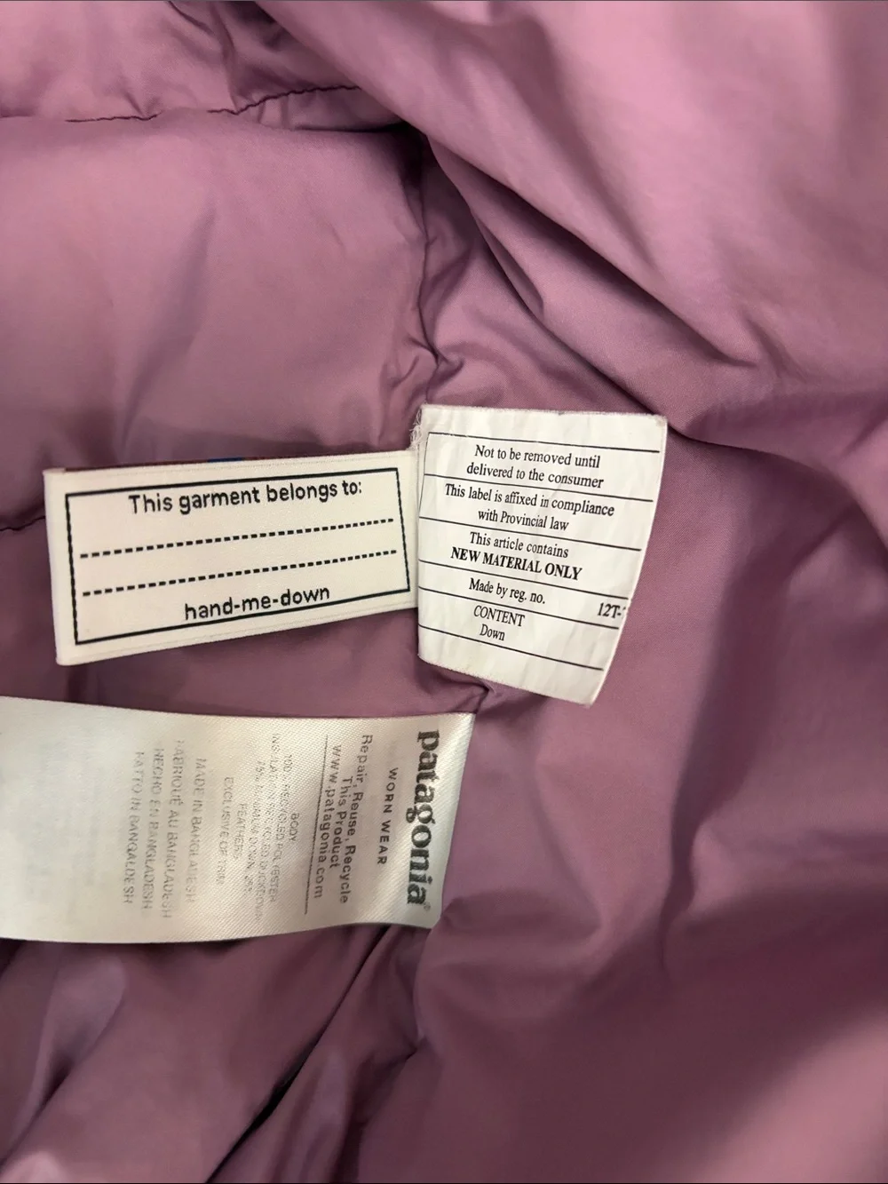 Patagonia insulated kids